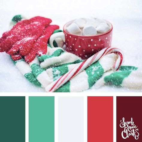 Sweet hues // Christmas Color Schemes // Click for more Christmas color palettes, mood boards and color combinations at https://sarahrenaeclark.com #color #colorscheme #colorpalette Christmas Color Swatches, Spruce Green Color Palette, Pink Christmas Color Palette, Christmas Color Palette Colour Schemes, Vintage Christmas Color Palette, Christmas Imagery, Christmas Color Schemes, Xmas Color, Christmas Palette