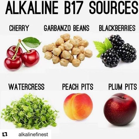 IAMBRETTSALKALINEREDIES on Instagram: “B17  #health #ntchras #manurah raspect #cherry #cherries #garbanzos #garbanzobeans #watercress #peachpits #plumpits  #Minerals are…” Herbal Doctor, Vitamin B17, Alkaline Diet Plan, Alkaline Diet Benefits, Nutritional Guide, Dr Sebi Alkaline, Dr Sebi Alkaline Food, Alkaline Vegan, Alkaline Diet Recipes