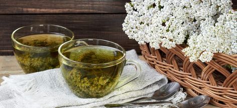 Yarrow Tea Benefits, Benefits Of Yarrow, Yarrow Tea, Elderflower Tea, Medicinal Tea, Reducing Inflammation, Respiratory Illness, Tea Benefits, Irritable Bowel