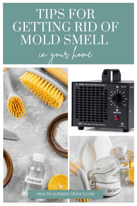 Get Rid Of Mold Smell, Recipes With Vinegar, Closet Organizing Hacks, Organizing Hacks Dollar Stores, Organizing Ideas For Bedrooms, Mold Smell, Organizing Kitchen Cabinets, Fridge Organized, Best Organization Ideas