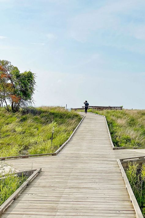 Edgewater Park Cleveland, Lake Erie Ohio, Cleveland Metroparks, Ohio Travel, Journal Stuff, Toledo Ohio, Cleveland Clinic, Lake Cottage, Lake Park