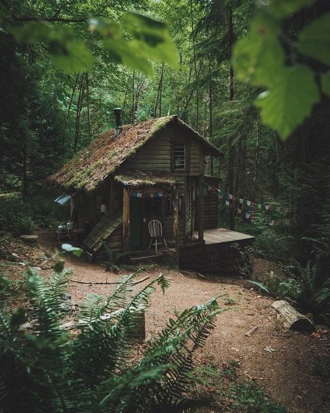 Deep in the woods 🌲 cc: @babytraven Deep In The Woods, Little Cabin In The Woods, Forest Cottage, Forest Cabin, Cottage Cabin, Tiny Cabin, Tiny House Cabin, Small Cabin, Cabin In The Woods