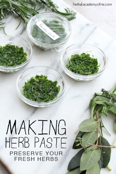 Preserve Fresh Herbs, Recipe Development, Herbal Academy, Sauce Spaghetti, Preserving Herbs, Kitchen Chores, Herb Recipes, Kitchen Herbs, Herbal Recipes