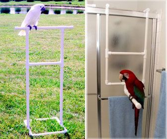 PVC Parrot Bird Stands for Shower Bathing Diy Parrot, Parrot Play Stand, Diy Parrot Toys, Diy Bird Toys, Parrot Food, Parrot Stand, Pet Bird Cage, Parrot Pet, Parrot Perch