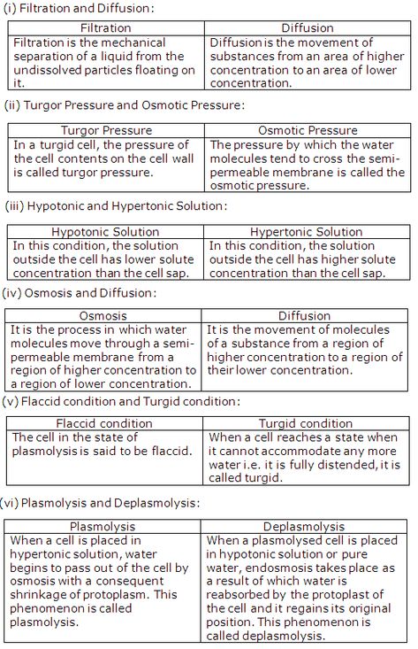 Chapter 4 Absorption by Roots - Frank Modern Certificate Solutions for Class 10 Biology ICSE - TopperLearning Absorption By Roots Biology Notes, Icse Class 10 Biology Notes, Bio Diagrams, Biology Class 12, Biology Diagrams, Nutrition Classes, Biology Facts, Study Flashcards, Effective Study Tips