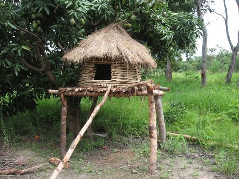 Chook Pen, Chicken Hut, Chicken Shed, Chicken Coup, Duck House, Coop Design, Chicken Houses, Chicken Coop Designs, Chicken Garden