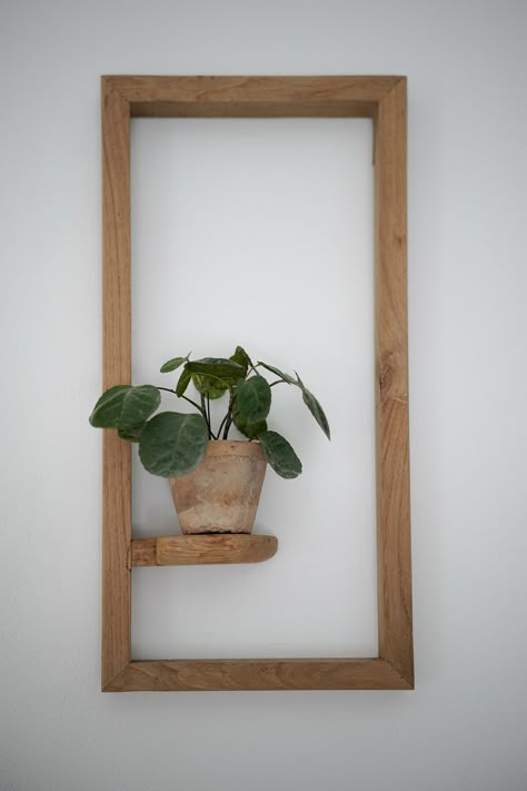 Shelves that are mounted on the wall and designed specifically to hold small pots or containers. Rectangle Shelf, Wood And Plants, Shelves Plants, Unique Shelf, Indoor Plant Wall, Hanging Plant Wall, Unique Shelves, Driftwood Wall Art, Plants Wall