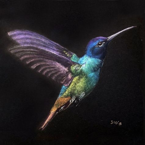 Metallic Pencil Drawing, Dry Pastel On Black Paper, Hummingbird Chalk Art, Metallic Pencil Art, Colored Pencil Black Paper, Black Paper Drawing Colored Pencils, Watercolor Paintings On Black Paper, Black Paper Art Colored Pencils, Paintings On Black Paper