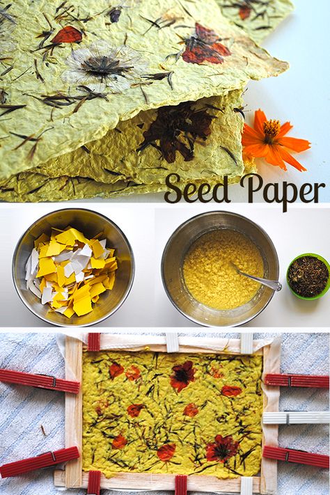 Recycled Paper Seed Cards, Diy Paper Seed Envelopes, Diy Seed Paper How To Make, Homemade Seed Paper, Recycle Paper Ideas, Handmade Seed Paper, Making Seed Paper, Homemade Paper How To Make, Homemade Paper Crafts