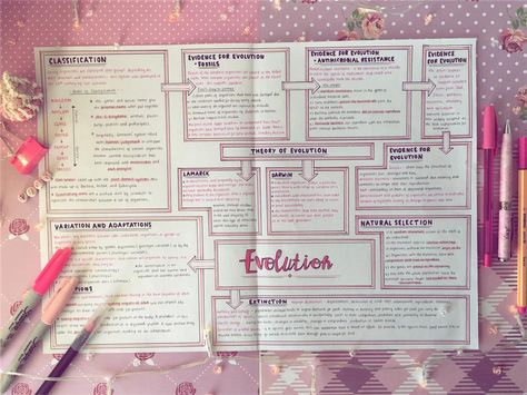 Amy☀️ on Instagram: “'On Wednesdays we write in pink🌸' I tried out a new layout of mindmap for this biology topic, I actually really like it but also really…” Evolution Mind Map, Concept Map Aesthetic, Mind Maping, Brain Math, Creative Mind Map, Mind Map Art, Biology Revision, Maps Aesthetic, Mind Map Template