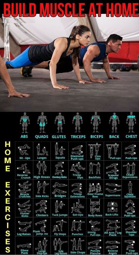 Muscle Building Workouts At Home, Muscle At Home, Resistance Exercises, Body Weight Workout Plan, Latihan Dada, Gym Workout Chart, Trening Fitness, Calisthenics Workout, Weight Training Workouts