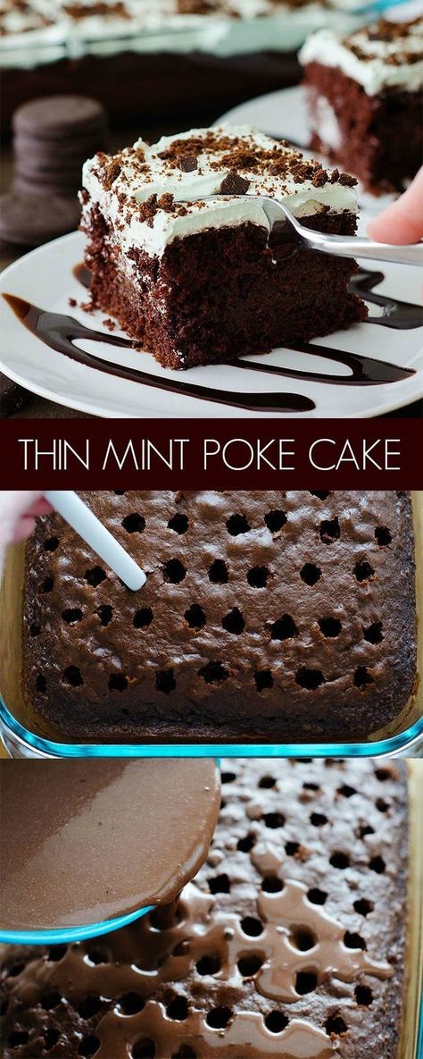 28 Sheet Cake Recipes You'll Want To Eat Right Out Of The Pan Life In The Lofthouse, Peanut Butter Sheet Cake, Mint Desserts, Pumpkin Sheet Cake, Chocolate Poke Cake, Coconut Dessert, Chocolate Sheet Cake, Poke Cake Recipes, Sheet Cake Recipes