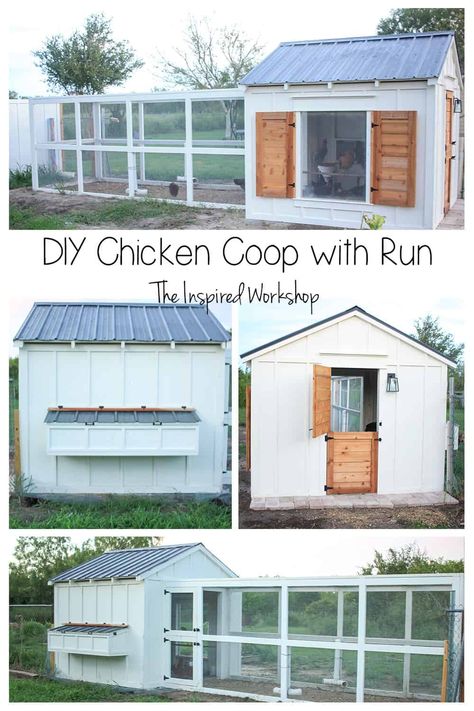 Chicken Coop Ideas Large, Chicken Coop For Cats, Backyard Chickens Coop Ideas, Chicken Coop Ideas Farmhouse, Chicken Coop Ideas For 30 Chickens, Chicken Coop With Double Run, Diy Coop Cheap, Palette Chicken Coop Diy, Craftsman Style Chicken Coop