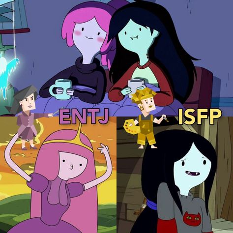 Isfp X Entj, Entj Isfp, Entj Personality, Type Personality, Mbti Memes, Myers–briggs Type Indicator, 16 Personalities, Myers Briggs Type, Mbti Personality