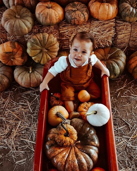 Fall Wagon Photoshoot, Fall Picture Set Up, Pumpkin Patch Toddler Photoshoot, Toddler Pumpkin Patch Photos, Pumpkin Patch Photoshoot Kids, Fall Photoshoot Toddler, Fall Baby Pics, Fall Infant Photoshoot, Toddler Fall Photoshoot