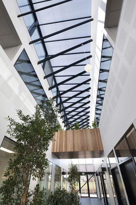 Gallery of Ballarat Community Health Primary Care Centre / DesignInc - 8 Entrance Corridor, Design Offices, Streetscape Design, Community Health, Lobby Interior, Hospital Design, Healthcare Design, Natural Ventilation, Conceptual Design