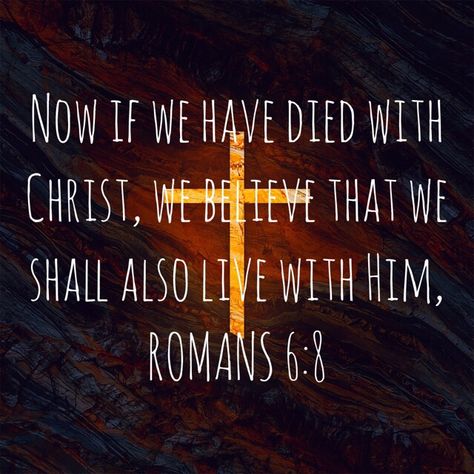 VOTD June 8, 2019 “Now if we have died with Christ, we believe that we shall also live with Him,” ‭‭ROMANS‬ ‭6:8‬ ‭NASB‬‬ Romans 6:5, Papa Jesus, Powerful Verses, Calming Songs, Romans 10, Gospel Tracts, Romans 6, Mothers Love Quotes, Biblical Inspiration