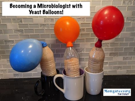 Becoming a Microbiologist with Yeast Balloons! Microbiology Experiments, Science Experiments Kids Easy, One Balloon, Microbiology, Pink Balloons, Preschool At Home, Home Learning, Homeschool Science, Science Experiments Kids