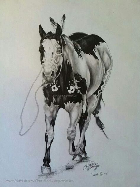 War pony Native Horse Drawing, Indian And Horse Tattoo, Native Horse Tattoo, Native American Horse Tattoo, Indian Horse Tattoo, Equine Art Pencil Drawings, Commissions Art, Horse Stencil, Horses Art