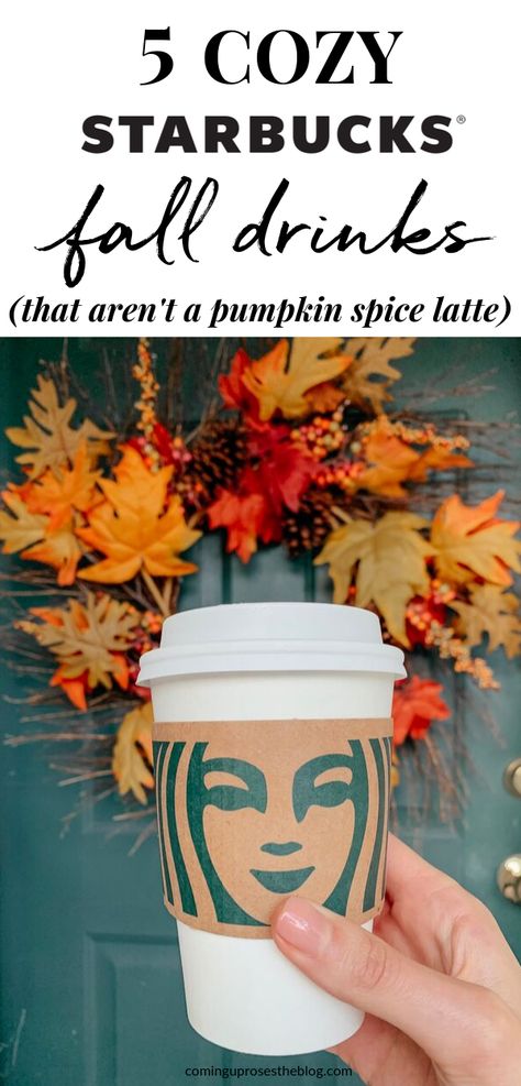 Starbucks Secret Fall Drinks, Hot Pumpkin Starbucks Drinks, Hot Drinks To Get At Starbucks, Fall Starbucks Drinks Without Pumpkin, Fall Inspired Starbucks Drinks, Best Fall Hot Starbucks Drinks, Cozy Starbucks Drinks, Starbucks Apple Cider Recipe, Hot Coffee From Starbucks Orders