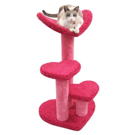 Cat Tree Designs, Cat Window Perch, Modern Cat Tree, All Things, Cat Towers, Cats Furniture, Cat Window, Cat Perch, Image Chat