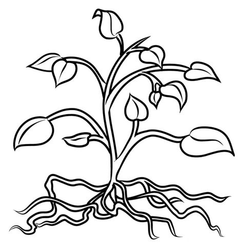 plantas carnívoras colorear Parts Of Flower, Plants Coloring Pages, Flower Science, Cell Diagram, Plant And Animal Cells, Nature Coloring Pages, Printable Flower Coloring Pages, Flowers Coloring Pages, Garden Coloring Pages