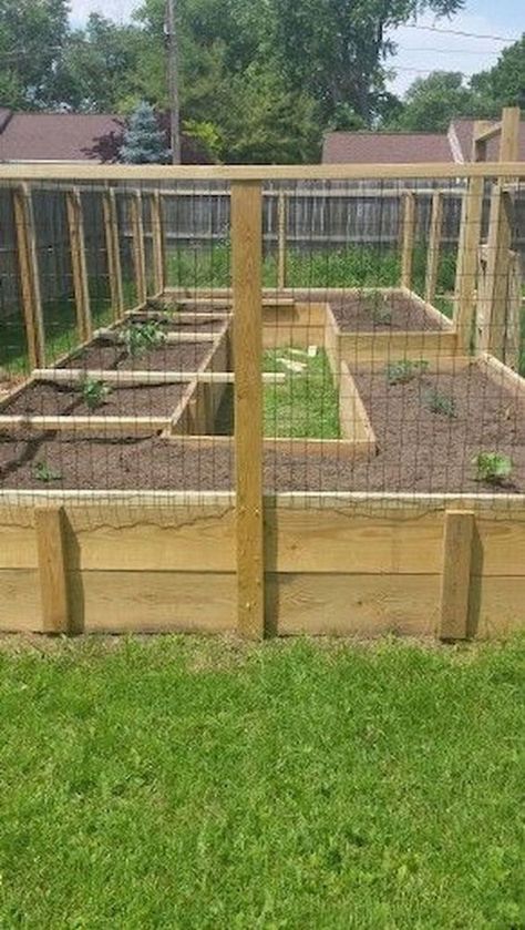 Vegetable Garden Beds, Elevated Gardening, Raised Vegetable Gardens, Building A Raised Garden, Diy Raised Garden, Raised Garden Beds Diy, Have Inspiration, Home Vegetable Garden, Vegetable Garden Design