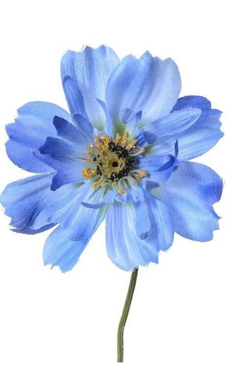 Blue Cosmos, Piping Flowers, Cosmos Flowers, Silk Flowers, Artificial Flowers, Cosmos, Ivy, Orchids, Projects To Try