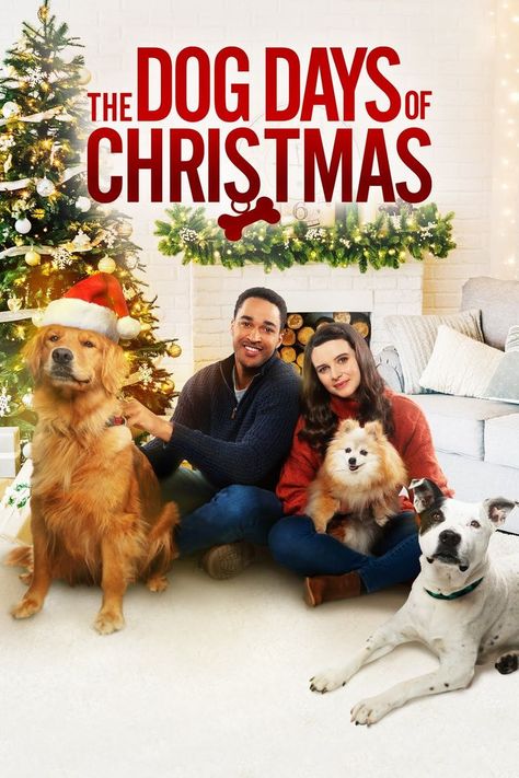 Film Romance, Christmas Movies On Tv, Family Christmas Movies, Type Poster, Christmas Films, Dog Movies, Tv Series To Watch, Lifetime Movies, Hallmark Christmas Movies