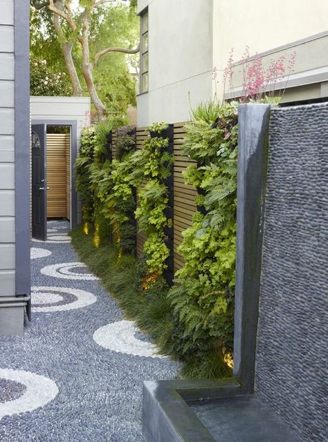 Green walls warm up the side alley in a San Francisco landscape designed by Monica Viarengo Pergola Modern, Planning Garden, Kolam Koi, Vertical Garden Design, Garden Floor, Landscape Modern, Garden Walkway, Modern Landscape Design, Modern Garden Design