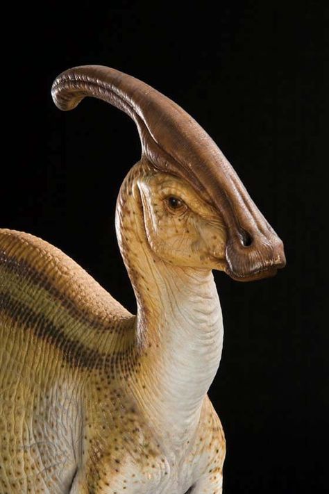 The Lost World Jurassic Park Parasaurolophus painted maquette Dino Reference, The Lost World Jurassic Park, Lost World Jurassic Park, Animals Reference, Jurassic Park Film, Zoo Ideas, Prehistoric Wildlife, Fantasy Animals, Dinosaur Pictures