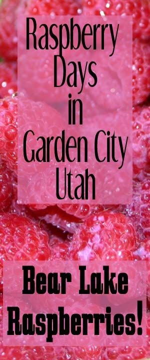 Garden City Utah, Utah Trip, Reunion Ideas, Bear Lake, Anniversary Trips, Garden City, Time To Go, Summer Adventures, 25th Anniversary