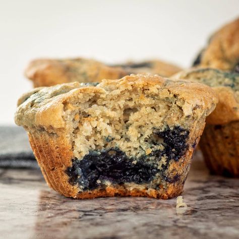 Made entirely with oat flour, these blueberry muffins are naturally sweetened, gluten free, fluffy and filled with plump blueberries. Muffins With Oat Flour, Oat Flour Blueberry Muffins, Greek Yogurt Banana Muffins, Oat Flour Muffins, Whole Wheat Blueberry Muffins, Gf Muffins, Mixed Berry Muffins, Low Oxalate Diet, Oat Flour Recipes