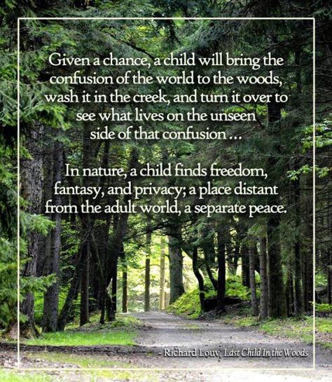 What is trending right now: nature! Richard Louv Quotes, In The Woods Quotes, The Woods Quotes, Quotes Perspective, Mother Nature Quotes, Nature Education, Nature School, Last Child, Family Tent Camping