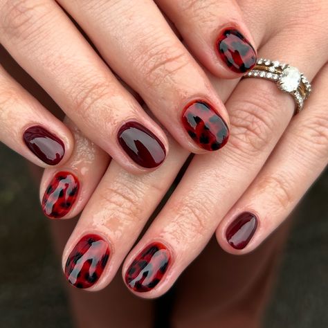 Red tortoise shell might be my new favorite thing #biab #tortienails #fallnails #planails #luminarynailsystems Red Tortishell Nails, Red Tortoise Shell Nails, Red And Tortoise Shell Nails, Short Tortoise Shell Nails, Tortoise Nails, Tortoise Shell Nails, Turtle Nails, Shell Nails, Tortoiseshell Hair