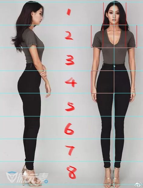 Anatomy Proportions, Female Portrait Poses, 3d Templates, Life Drawing Reference, Drawing Female Body, Body Shape Drawing, Anatomy Models, Body Drawing Tutorial, Anatomy Study