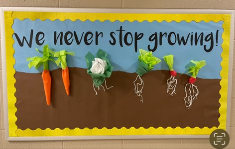 Farming Bulletin Board Ideas, Garden Theme Classroom Bulletin Boards, Farmers Market Classroom Door, Farmers Market Bulletin Board, Farmers Market Classroom Theme, Agriculture Bulletin Board Ideas, Vegetable Bulletin Board, Garden Bulletin Board Ideas, Planting Board