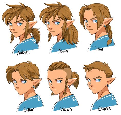 Wild Haircut, Botw Zelda, Zelda Funny, Horse Mane, Link Art, Link Zelda, Zelda Art, Wild Hair, Legend Of Zelda Breath