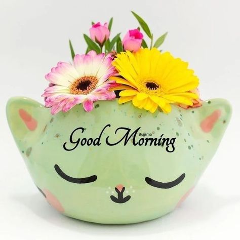 Happy Morning Images, Flowers Morning, Gd Mrng, Good Morning Dear Friend, Attractive Wallpapers, Lovely Good Morning Images, Morning Msg, Good Night Wallpaper, Happy Birthday Cake Pictures