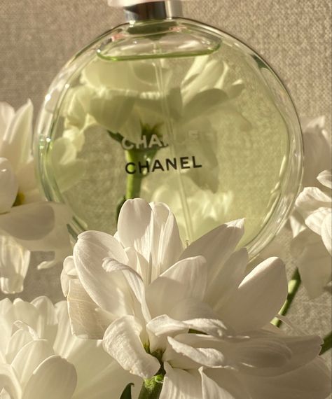 First Aesthetic, Aesthetic Pin, Chanel Aesthetic, Chanel Chance, Sage Green Wallpaper, Rich Clothes, Chanel #1, Green Photo, Perfume Lover