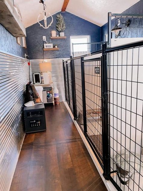 Small Dog Boarding Ideas, Garage Dog Training Room, Inside Outside Dog Kennel, Dog Farm Ideas, Dog Containment Ideas Indoor, Dog Building Ideas, Dog Kennel Rooms In House, Kennel Setup Ideas, Small Dog Boarding Facility