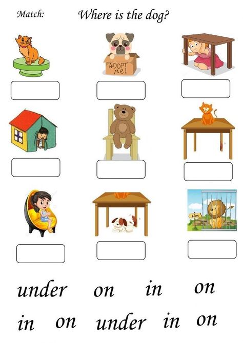 Where Is Where Are Worksheet, Where We Live Preschool Activities, Prepositions Activities For Kids, Preposition Of Place Worksheet, Where Worksheet, English Worksheets For Grade 1, Preposition Activities, Teach English To Kids, Reading Comprehension For Kids