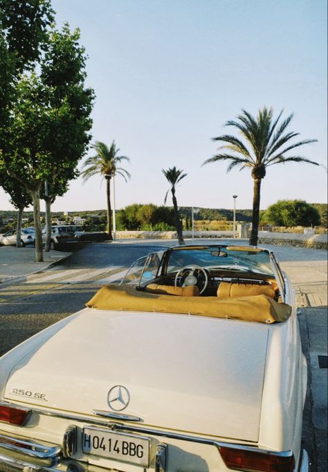 Classic Mercedes Aesthetic, Vintage Mercedes Wallpaper, Old Money Summer Aesthetic Wallpaper, Money Widget, Old Money Background, Old School Mercedes, Mercedes Vintage, Car Obsession, Summer Aesthetic Wallpaper