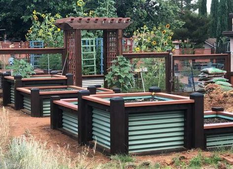 Metal Raised Beds Raised Planters, Raised Garden Bed Plans, Elevated Gardening, Tiered Garden, Vegetable Garden Diy, Diy Raised Garden, Farm Fence, Raised Planter, Sedona Az