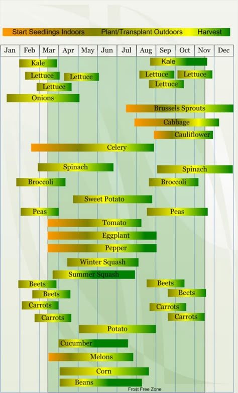 Vegetable Planting Calendar, Vegetable Planting Guide, Seedlings Indoors, When To Plant Vegetables, Planting Calendar, When To Plant, Gardening Zones, Starting Seeds Indoors, Hydroponic Gardening