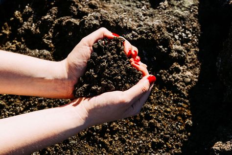 How to Use Grave Dirt in Pagan Magic and Rituals Graveyard Dirt, Hedge Witchery, Haunted Graveyard, Pagan Magic, Folk Magic, Love Magic, Earth Gift, Magical Herbs, Witchcraft For Beginners