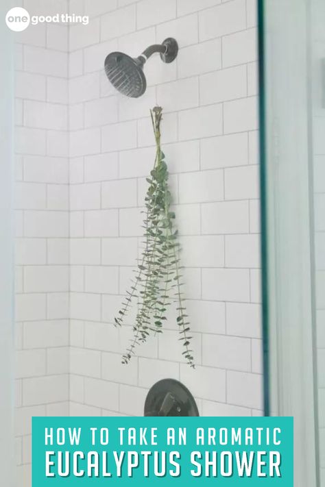 Not only will this eucalyptus make your bathroom smell like a luxury resort spa, but it can help clear up congestion too! How To Make Showers More Relaxing, Eucalyptus On Shower Head, How To Make A Eucalyptus Shower Bundle, Eucalyptus Shower Head, Eucalyptus In Shower Benefits, Diy Eucalyptus Shower Steamers, Eucalyptus In The Shower, Relieve Congestion, Homemaking Tips