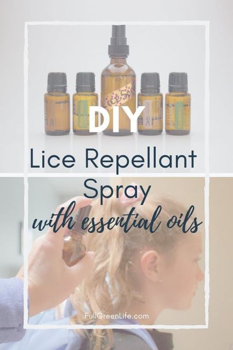 Lice Prevention Essential Oils, Lice Spray Essential Oils, Essential Oils For Lice, Lice Prevention Spray, Lice Spray, Lice Prevention, Head Louse, Essential Oil Spray, Diy Sprays