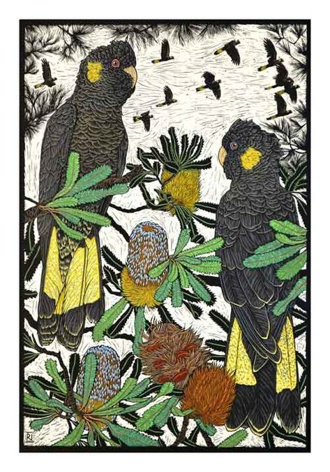 cards by Rachel Newling — Rachel Newling Rachel Newling, Black Cockatoo, Linocut Printmaking, Australian Flowers, Lino Art, Bird Paintings, Australian Native Flowers, Native Flowers, Illustration Botanique