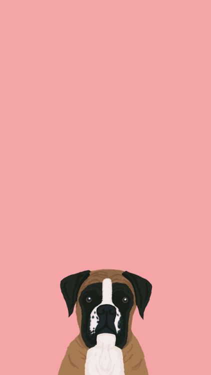 Cute Iphone Wallpaper, Walking Dogs, Cute Iphone Wallpaper Tumblr, Boxer Dogs Art, Dog Chain, Cute Iphone, Wallpaper Tumblr, Handmade Dog Collars, Video Games For Kids